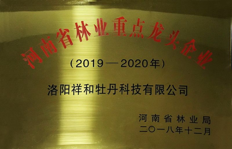 2019河南省林業(yè)重點龍頭企業(yè)